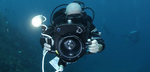 Photographer Diving